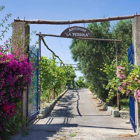 Agriturismo La Pergola Villa Forio  Exterior photo