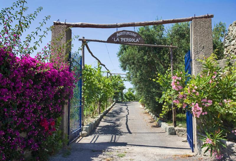 Agriturismo La Pergola Villa Forio  Exterior photo