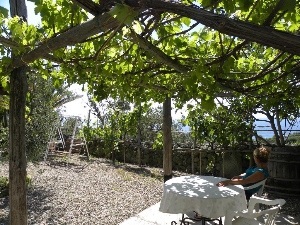 Agriturismo La Pergola Villa Forio  Exterior photo