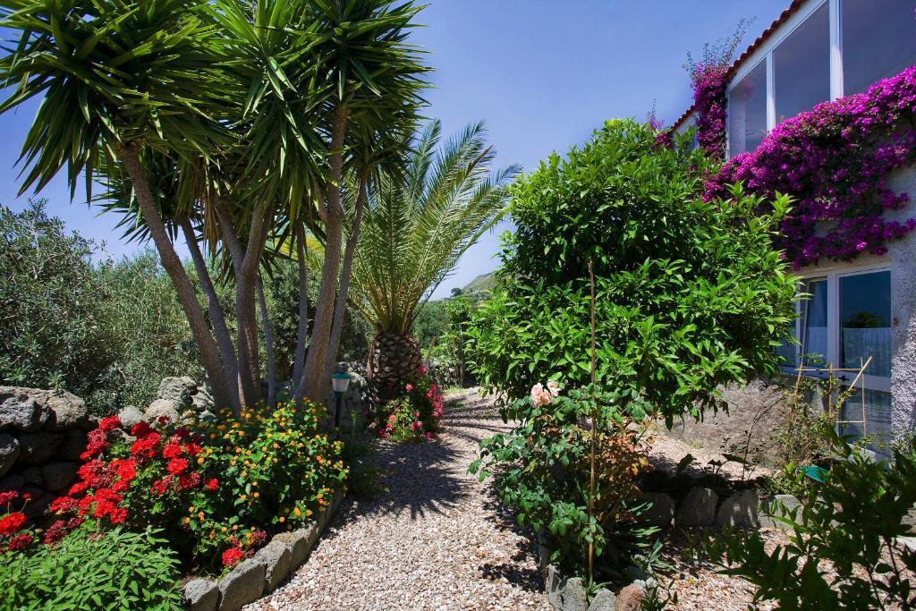 Agriturismo La Pergola Forio  Room photo